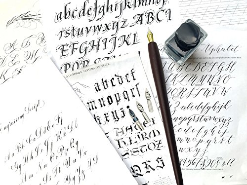 Plotube-Wooden-Pen-Calligraphy-Set-Dip-Pen-Gift-Writing-Case-Black-Ink-Bottle-Golden-Pen-Holder-11-Nibs-and-Beginners-Manual